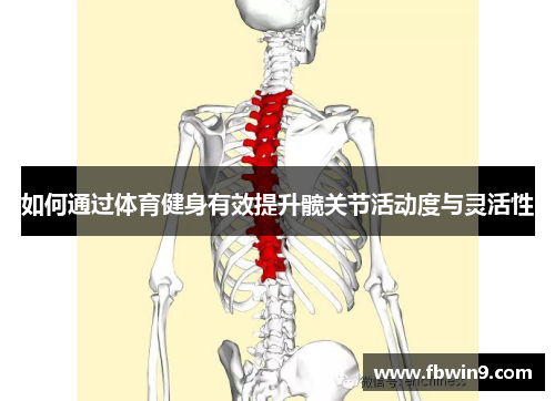 如何通过体育健身有效提升髋关节活动度与灵活性